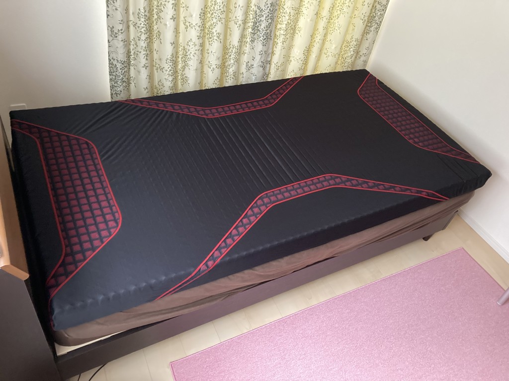 投稿写真