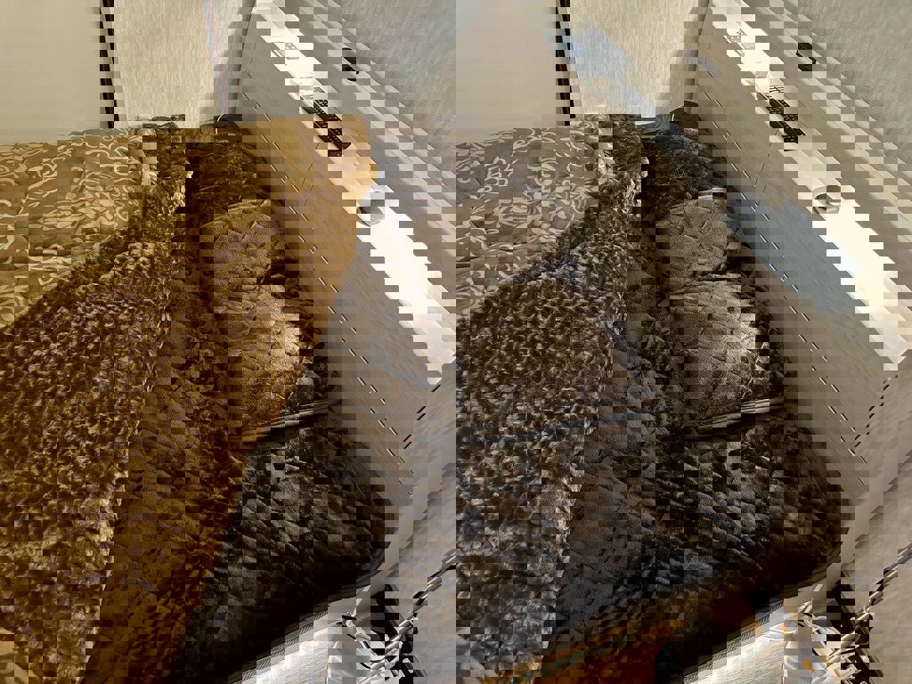 ユーザー写真