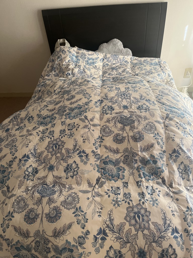 投稿写真