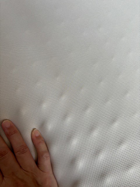 投稿写真