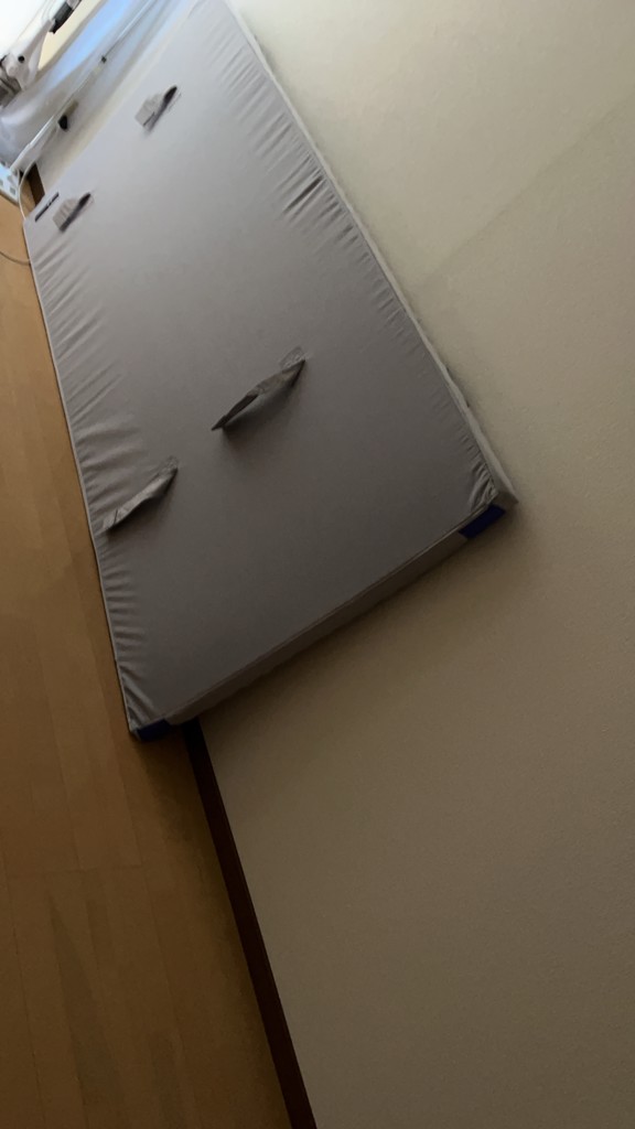 投稿写真