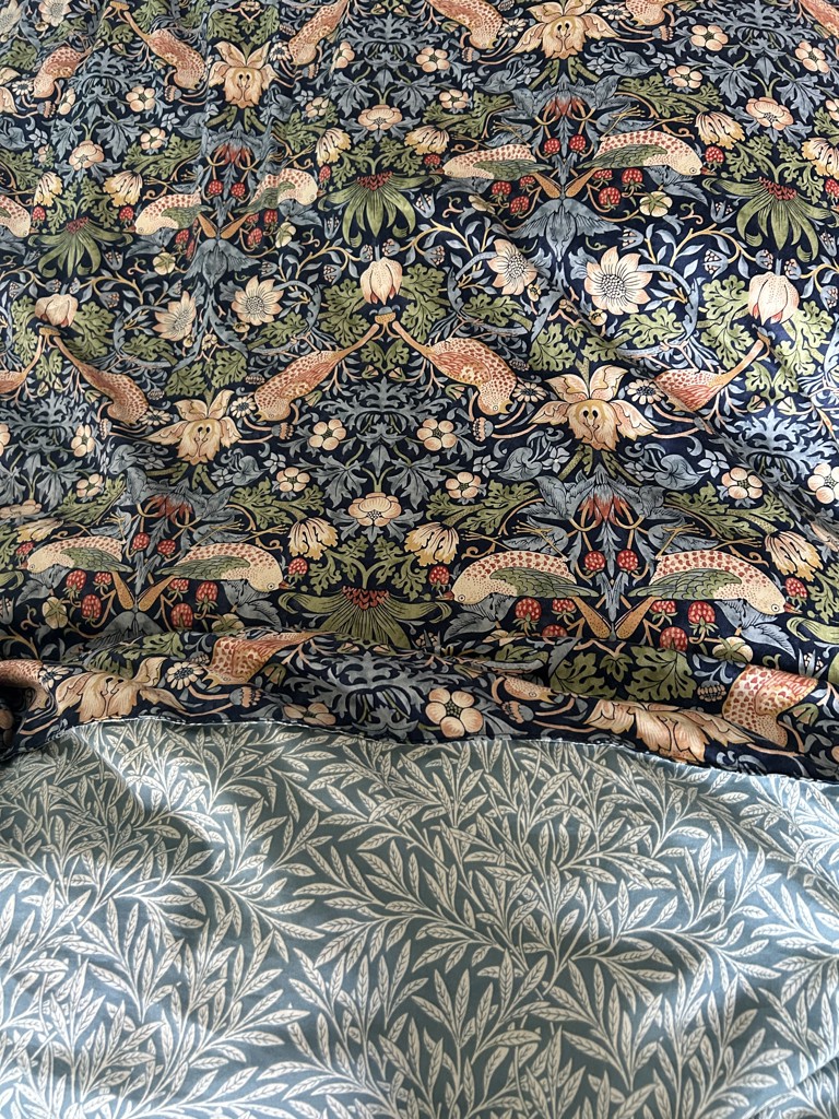 投稿写真