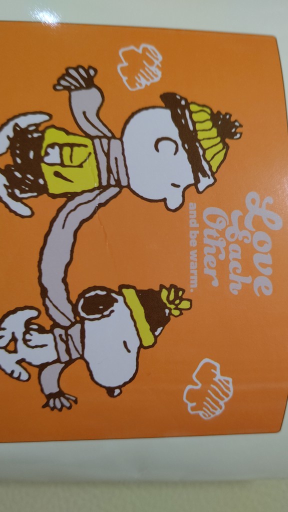 投稿写真