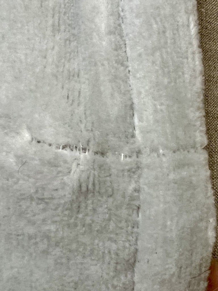 投稿写真