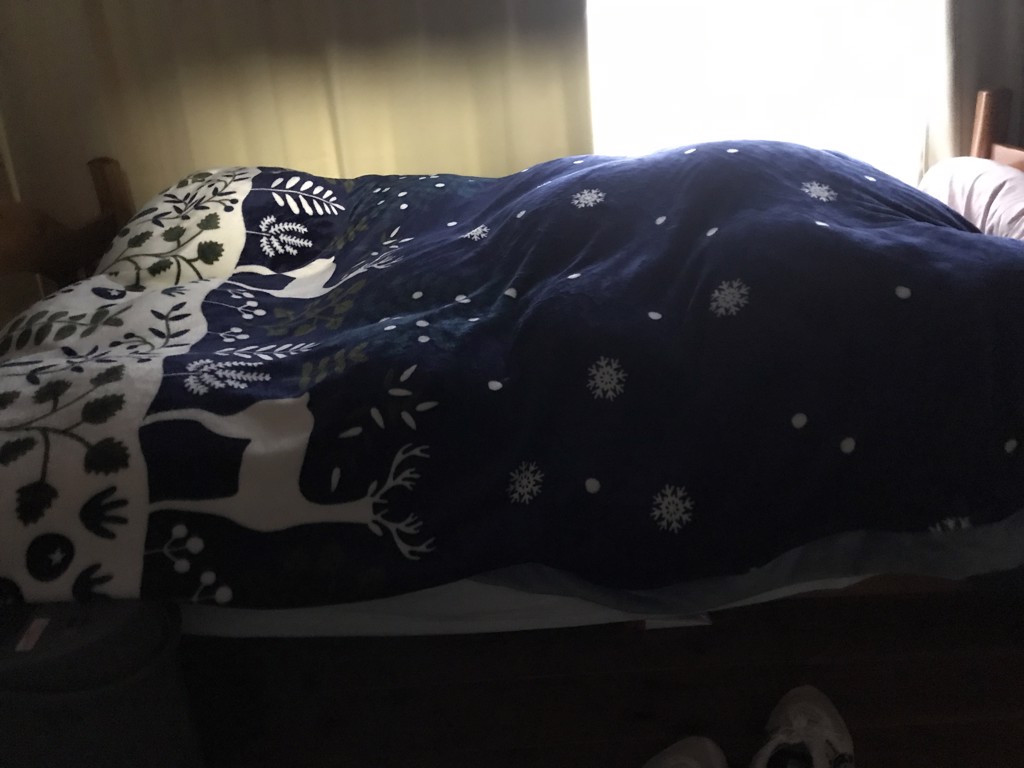 投稿写真