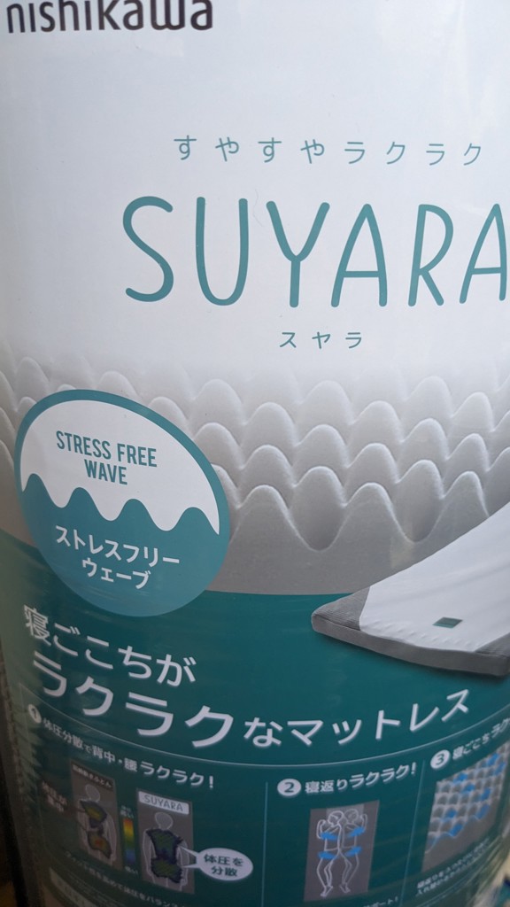 投稿写真