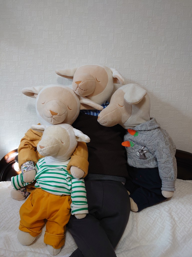 投稿写真