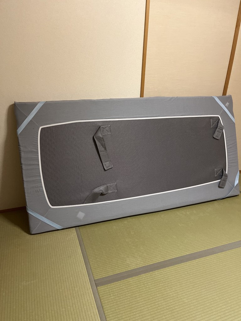 投稿写真