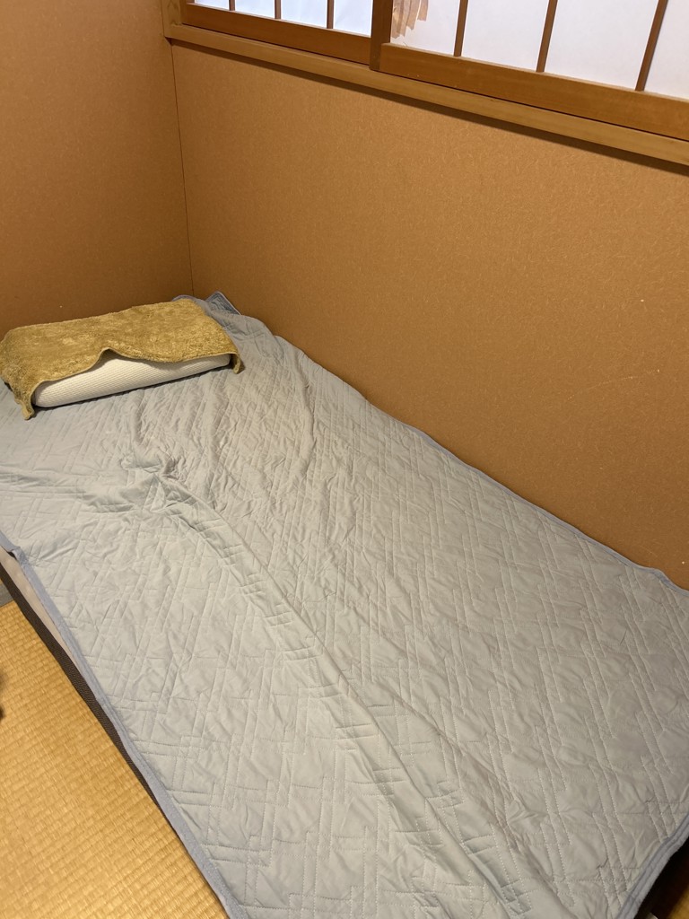 投稿写真