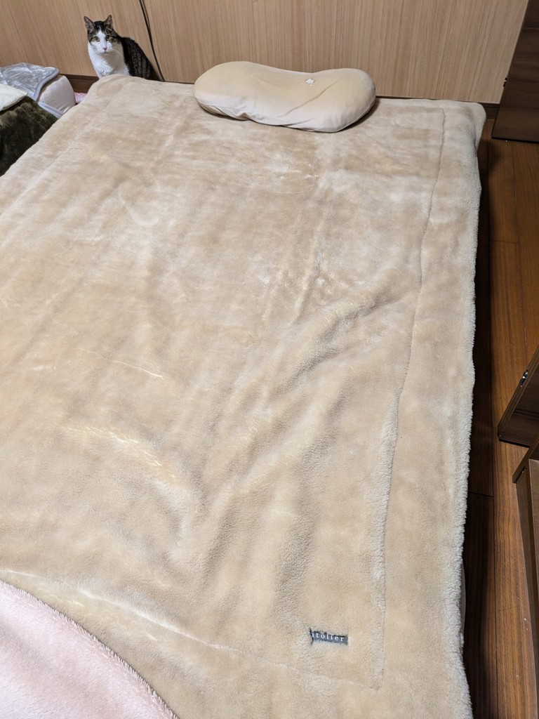 ユーザー写真