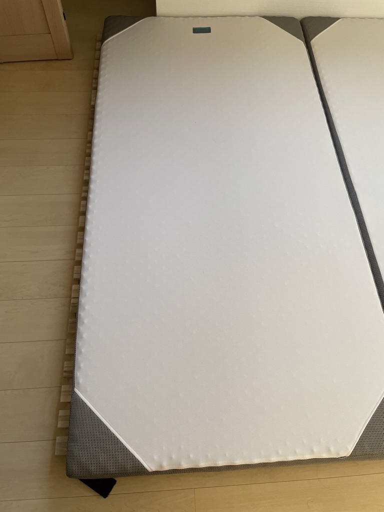 投稿写真