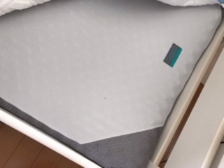 投稿写真