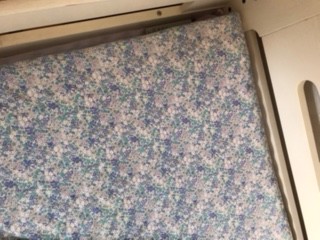 投稿写真