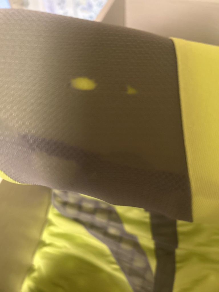 投稿写真