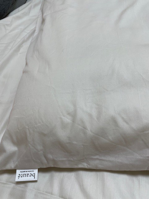 投稿写真