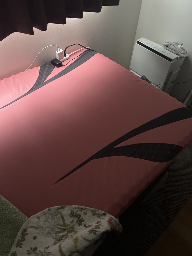 投稿写真
