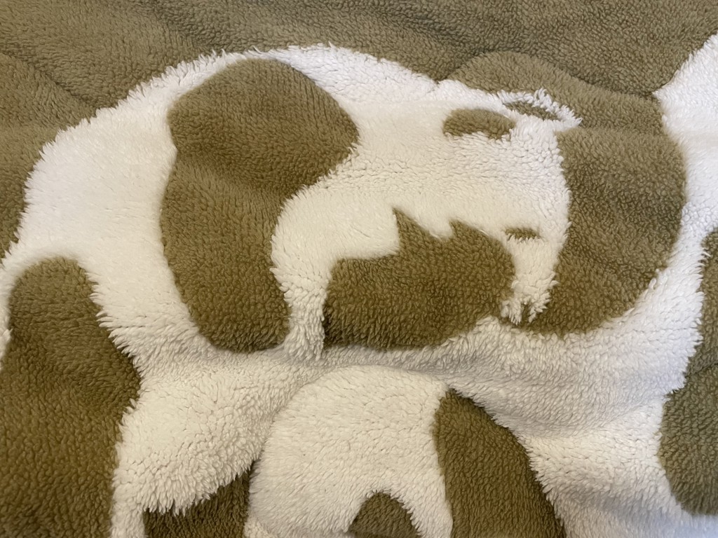 投稿写真