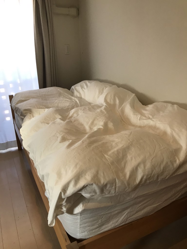 投稿写真