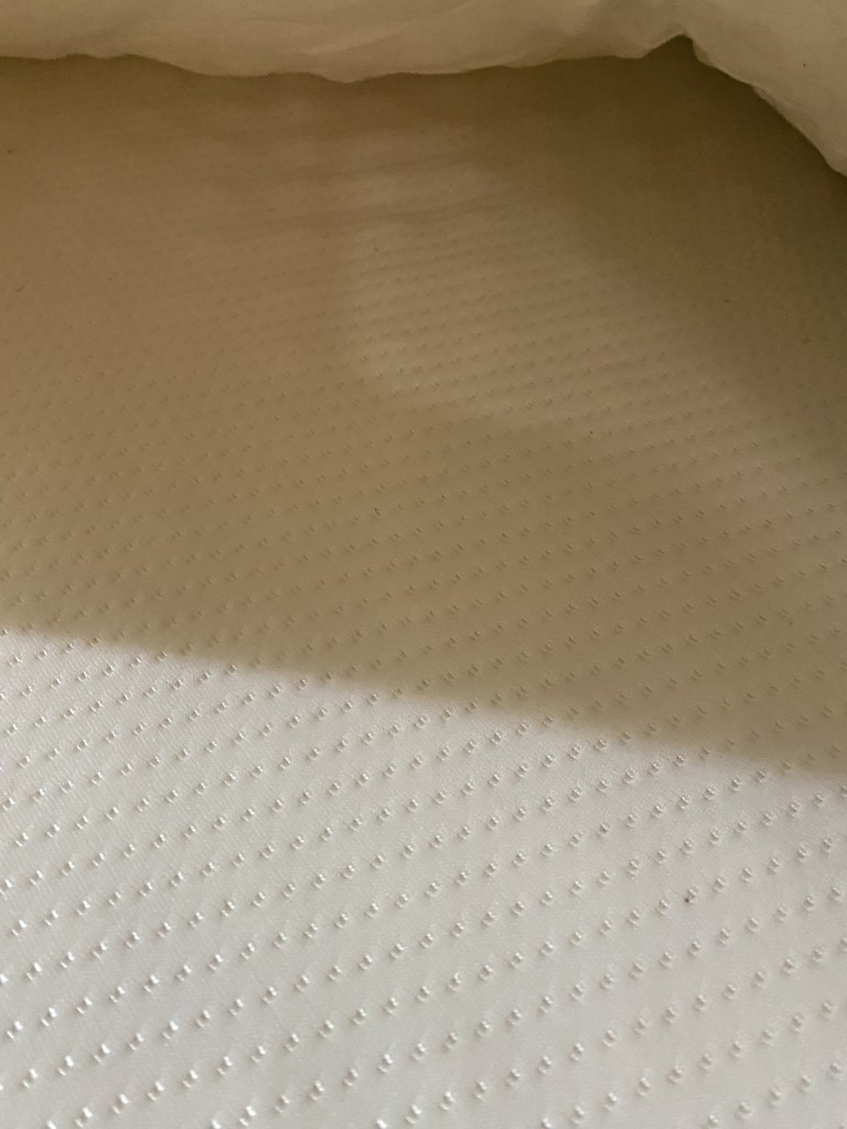 投稿写真