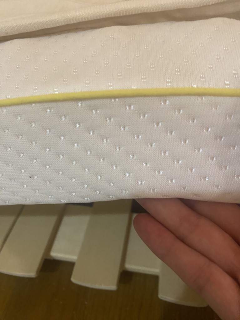 投稿写真