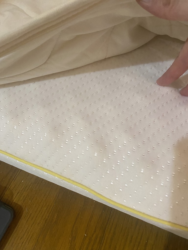 投稿写真