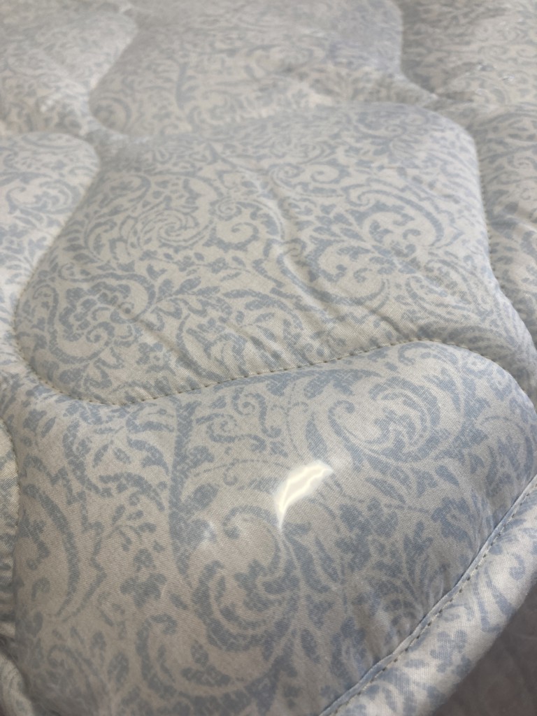 投稿写真