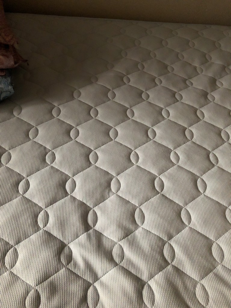 投稿写真