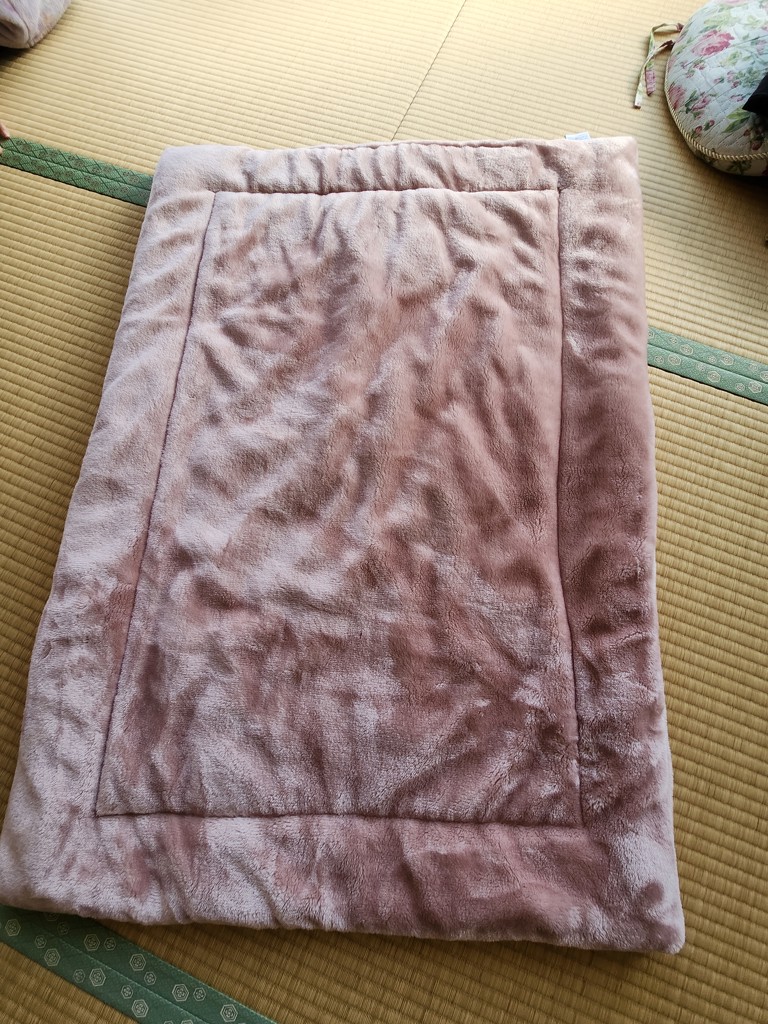 投稿写真