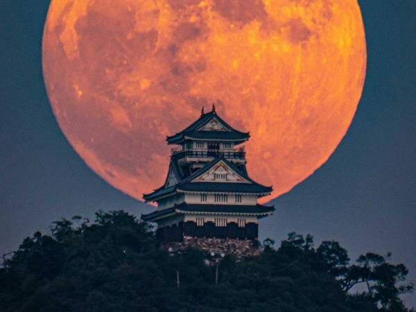 投稿写真