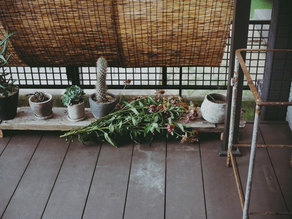 パーゴラシェード ガゼボ 2×2m/2×3m YPG-220/YPG-230 山善 | 山善