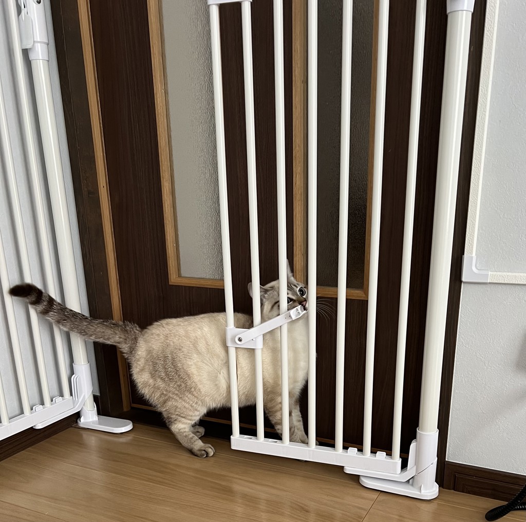 ねこの脱走防止 のぼれんニャン バリアフリー3 開閉 1400020404 ペット