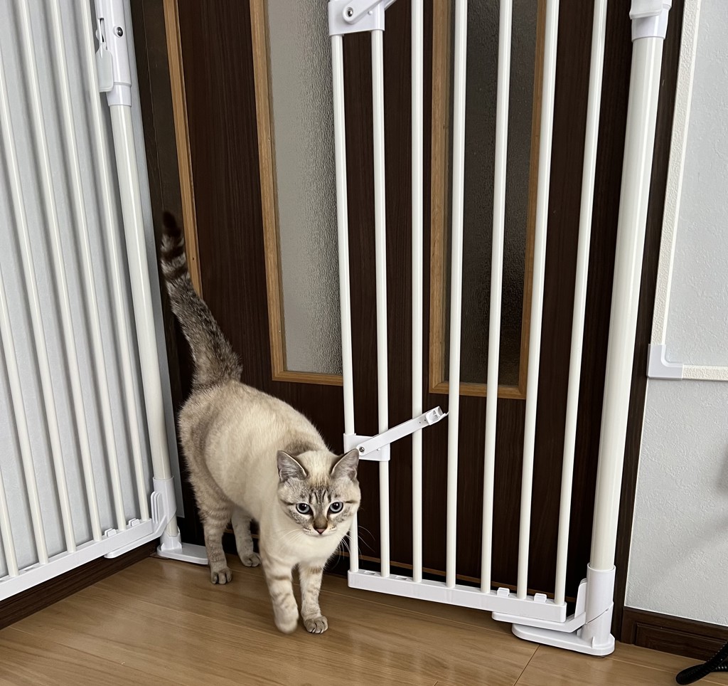 ねこの脱走防止 のぼれんニャン バリアフリー3 開閉 1400020404 ペット