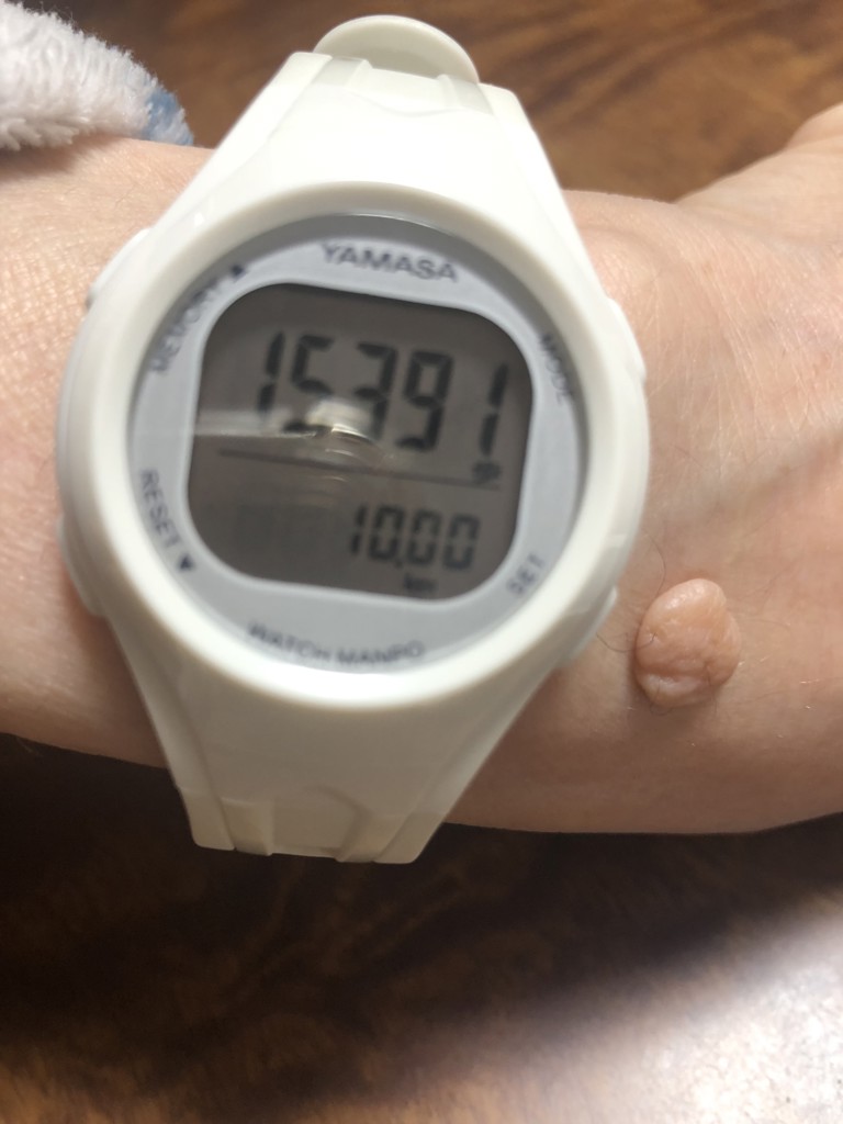 YAMASA 山佐 ウォッチ万歩計 新品未開封 48個 TM-400TM-450 販売