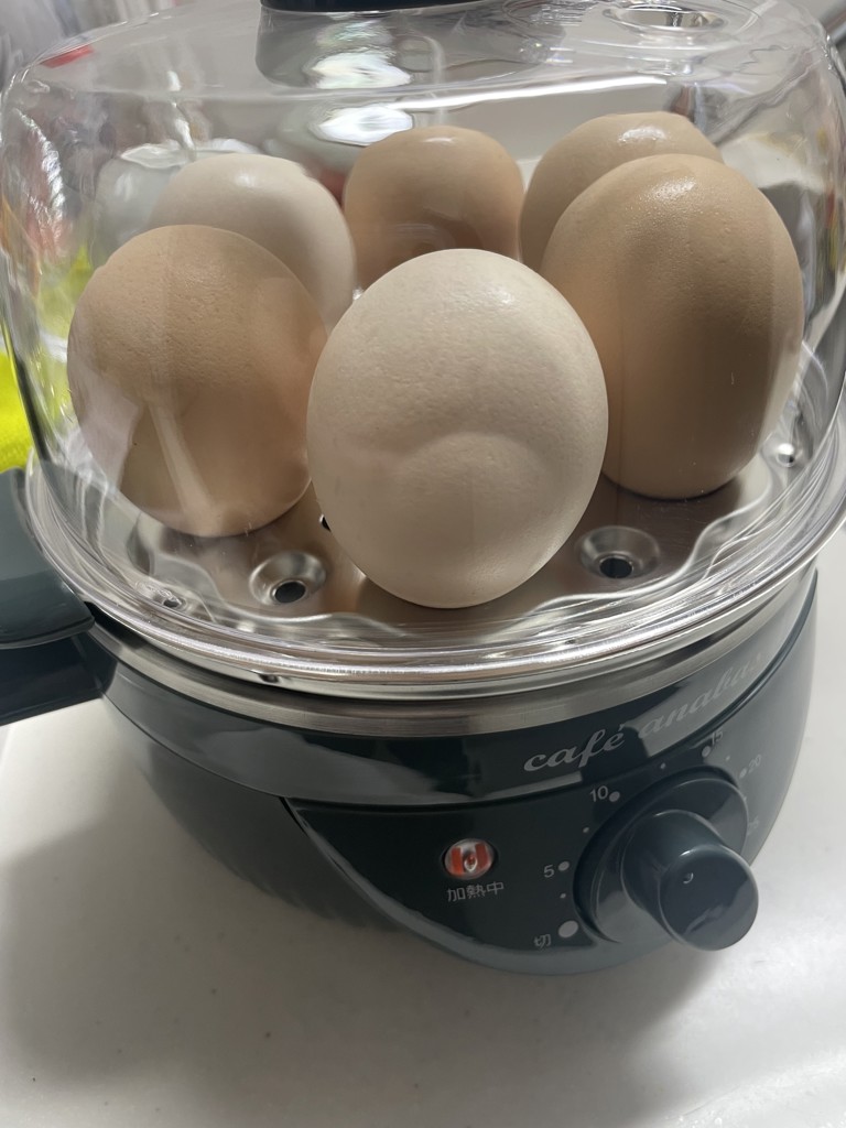 ゆで卵メーカー かんたん蒸し器 タイマー付き スチームクッカー 2段