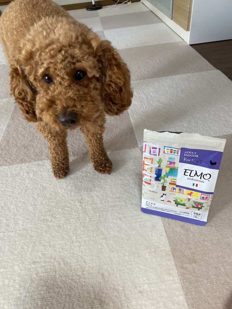 ELMO エルモ プロフェッショナーレ インドア 400g