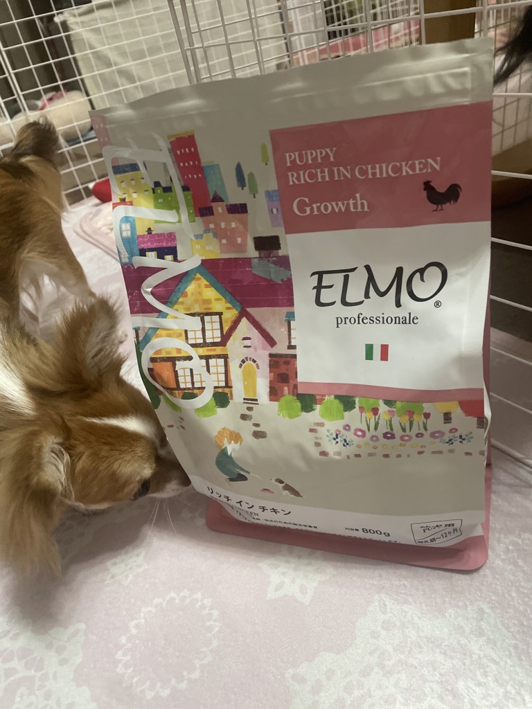 ELMO エルモ プロフェッショナーレ パピー 800g｜Coo&RIKU公式