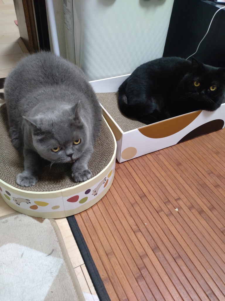 ユーザー写真