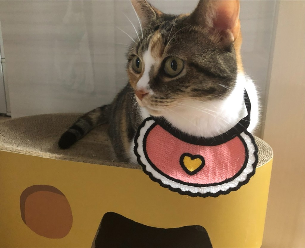 ユーザー写真