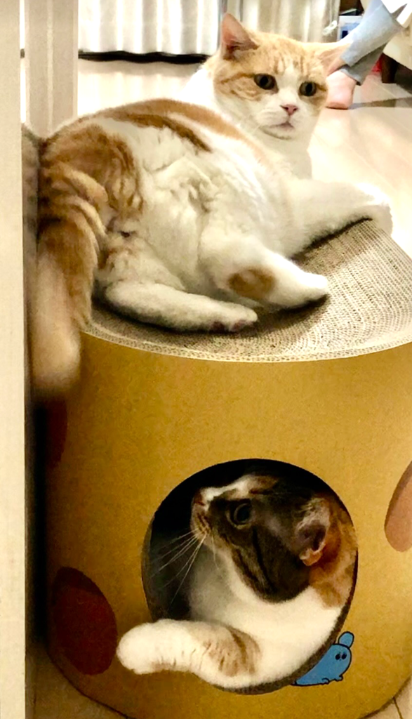 ユーザー写真