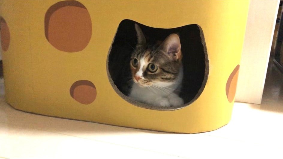 ユーザー写真