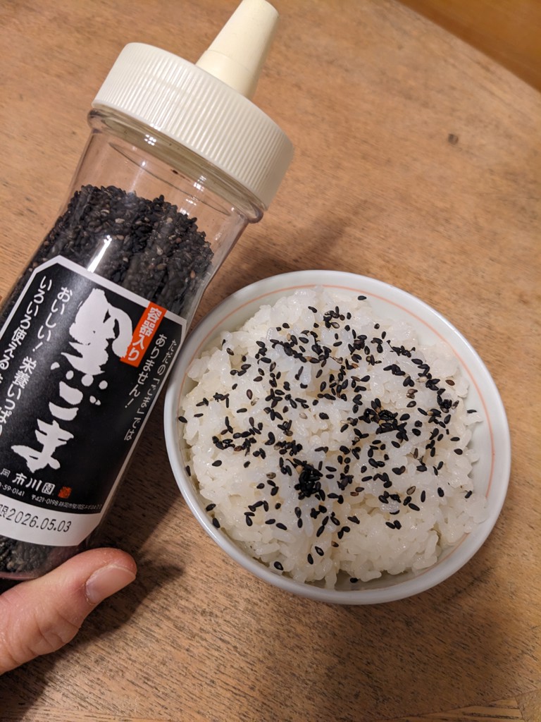 ごまページ その他 Y カワサキが「ニンジャZX-10R」シリーズの2024年モデルを発表