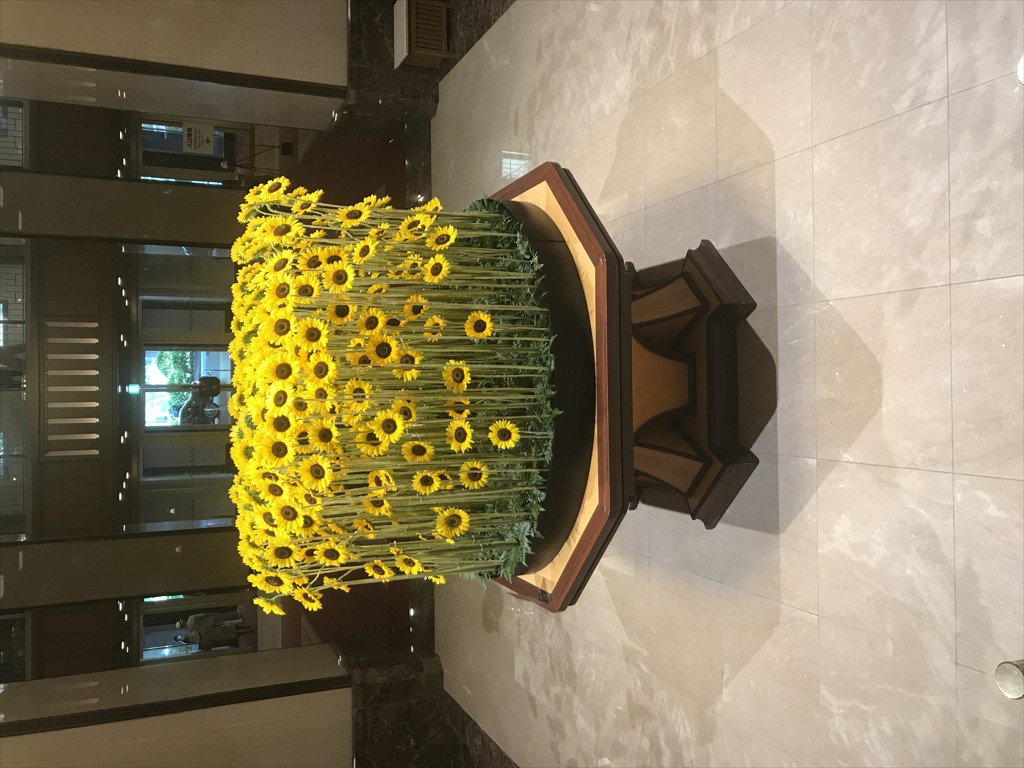 投稿写真