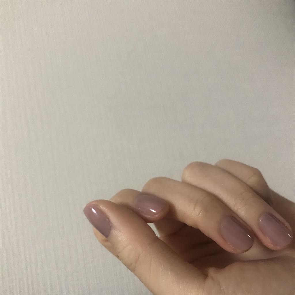 投稿写真