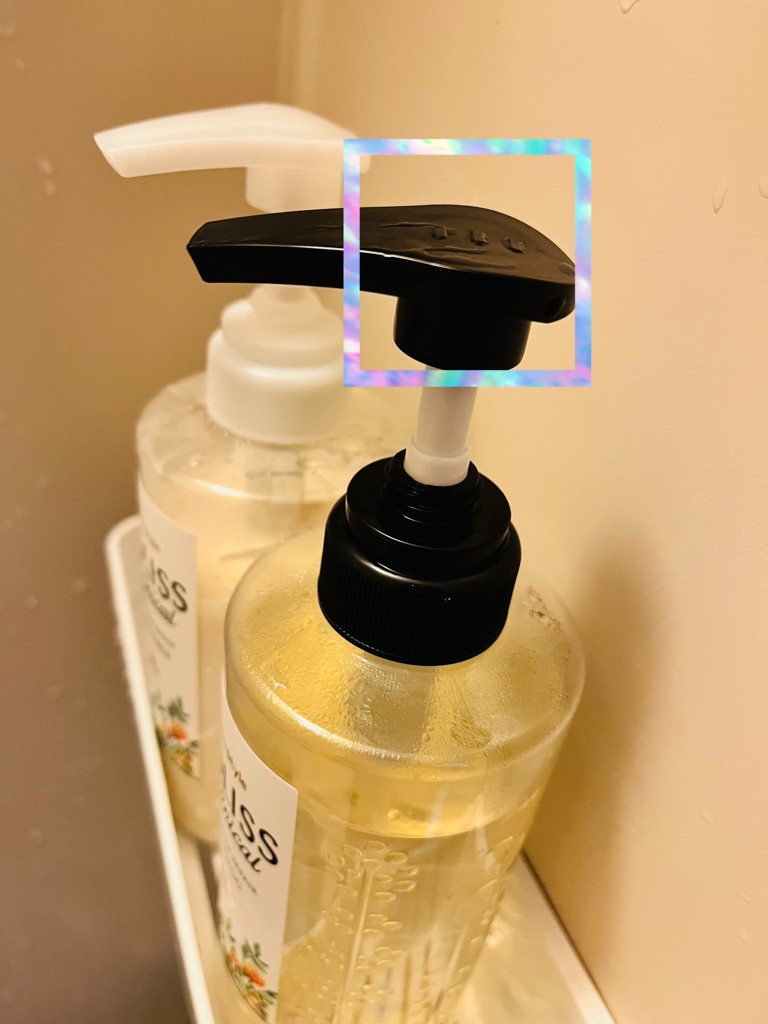 投稿写真