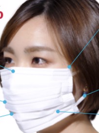 投稿写真