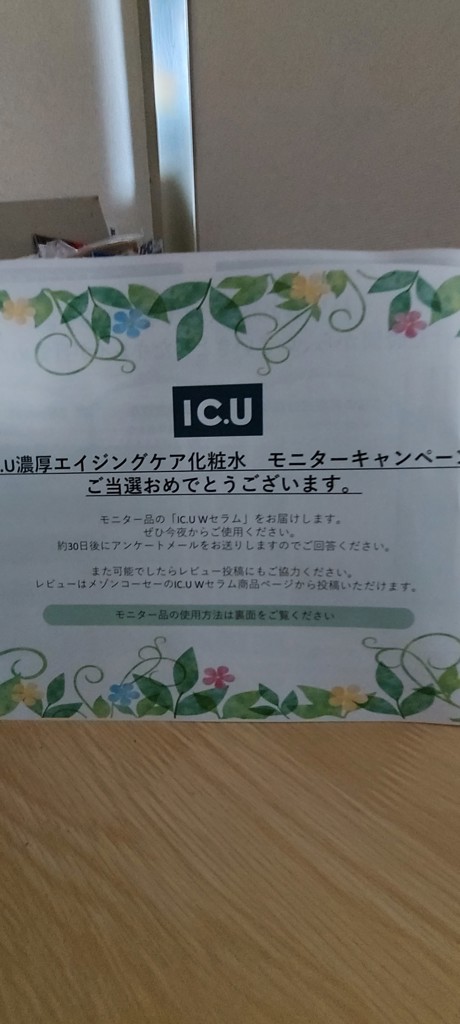 投稿写真