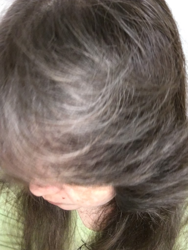 投稿写真