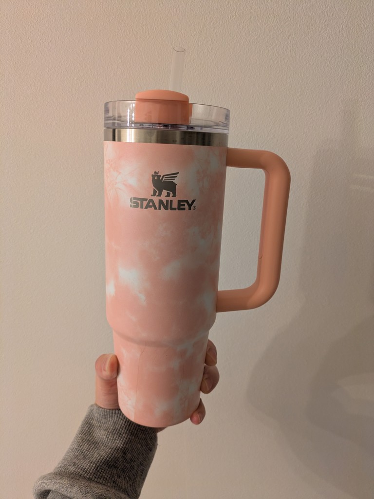 WEB限定】H2.0 真空スリムクエンチャー 880ml/STANLEY | アフタヌーン