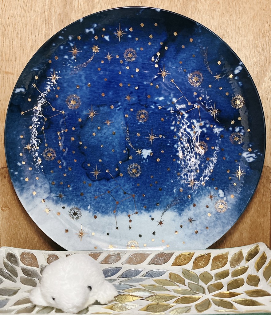 プレート M/星空 | アフタヌーンティー公式通販サイト