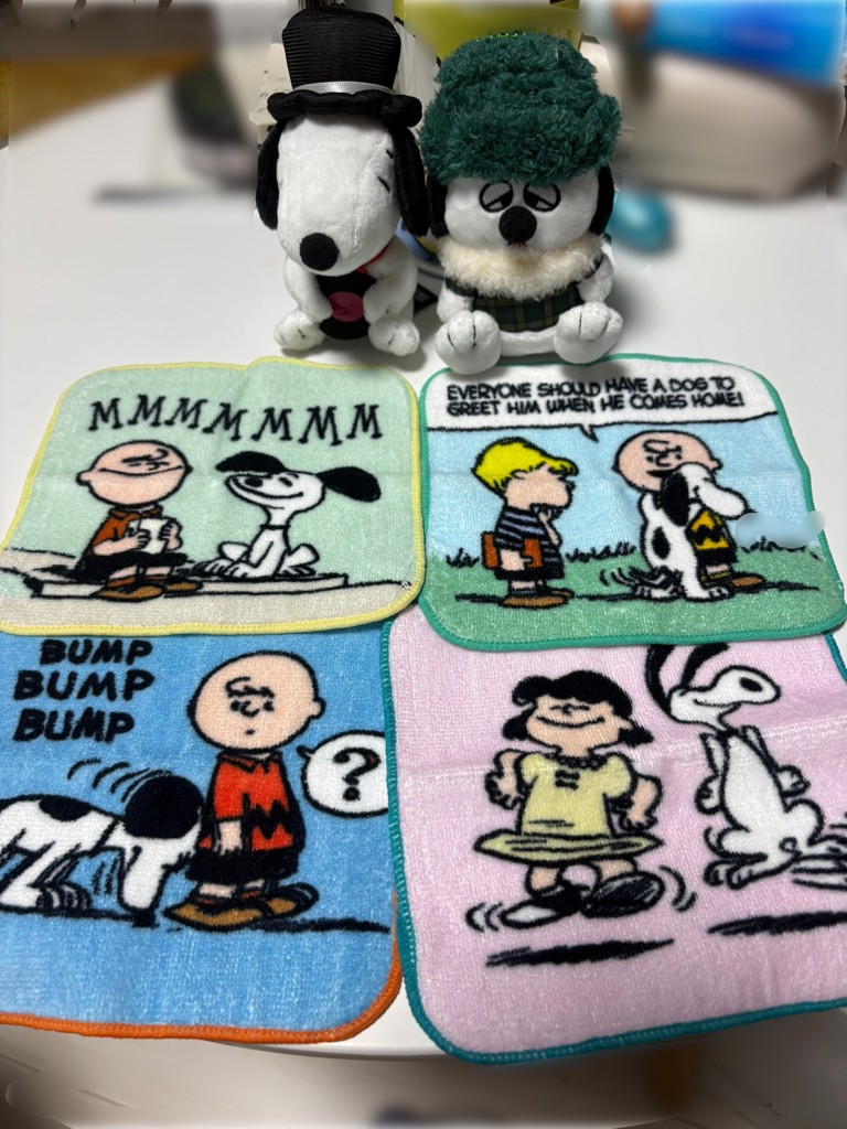 シークレットミニタオル/PEANUTS | アフタヌーンティー公式通販サイト